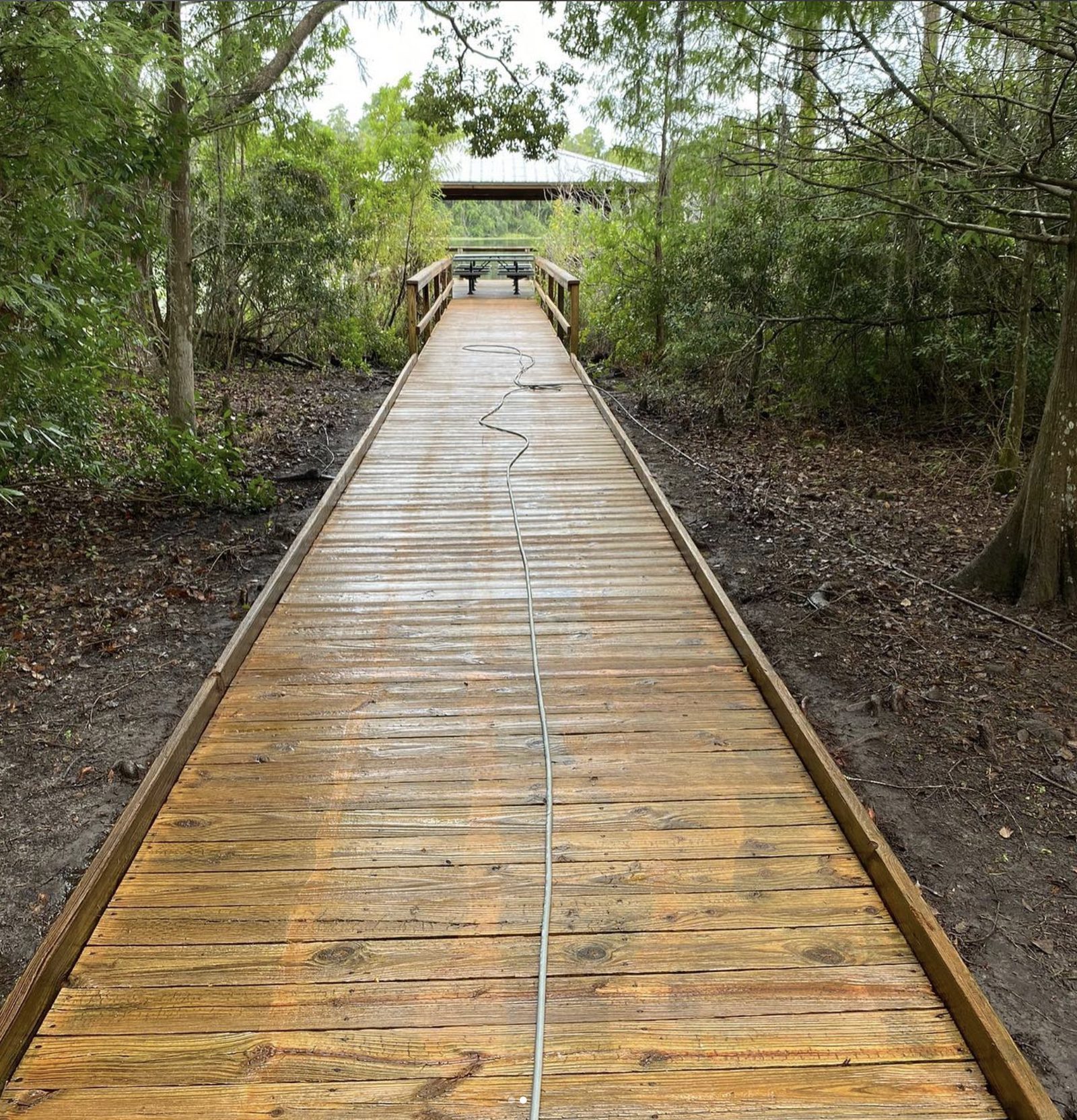 Same boardwalk stripped back to warm honey-toned wood grain leading to the lake pier