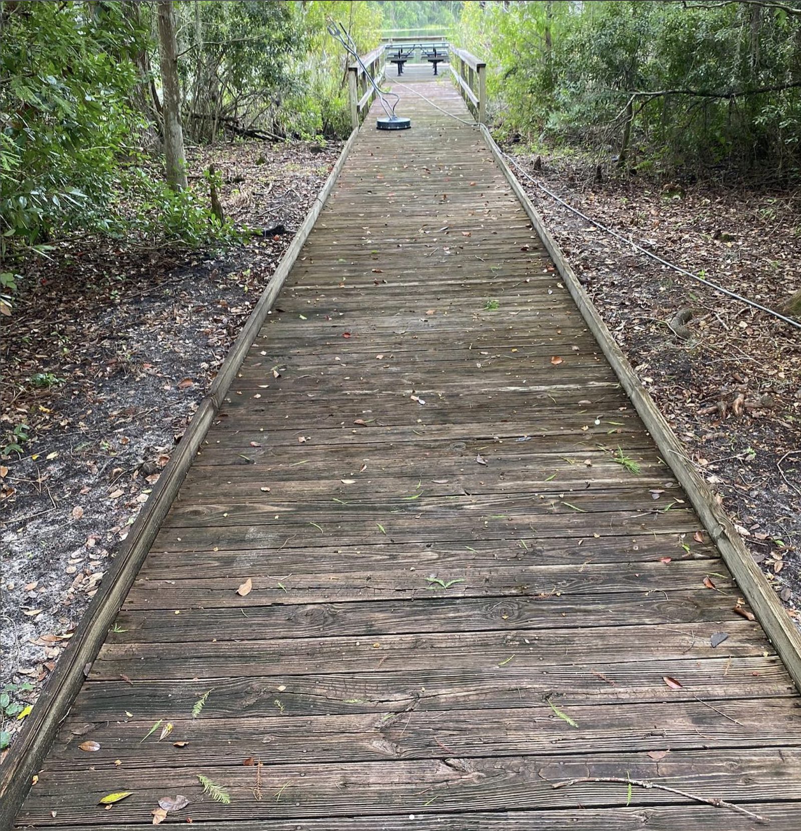 Weathered boardwalk decking greyed by algae and littered with leaf debris