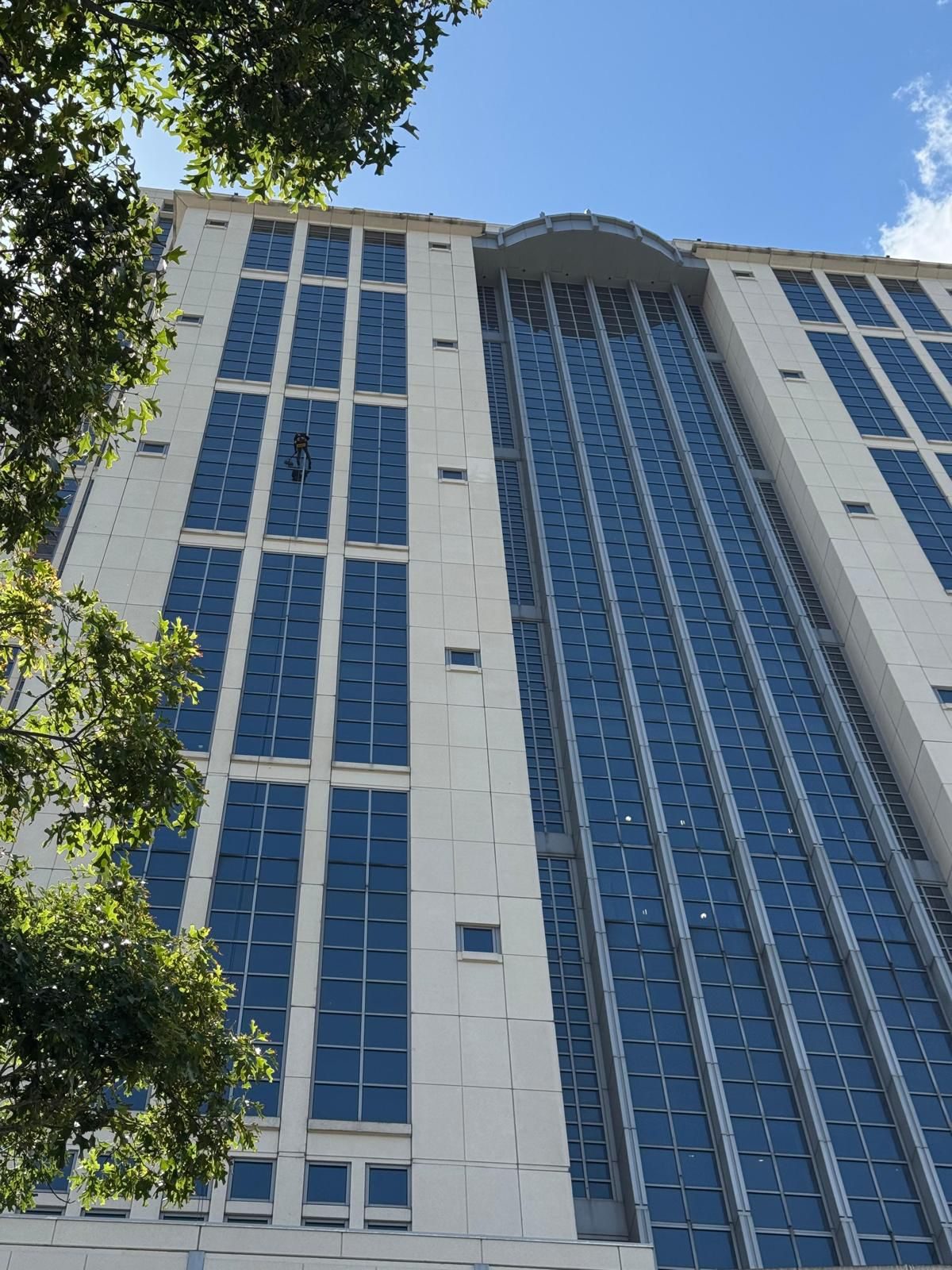 Full facade of the Orange County Government building with palm tree in foreground